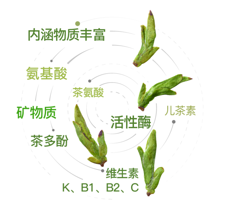 华祥苑正季绿茶有什么特点