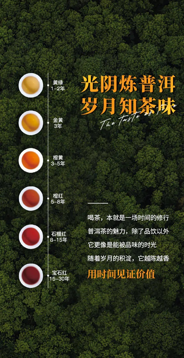 普洱茶，用时间见证价值