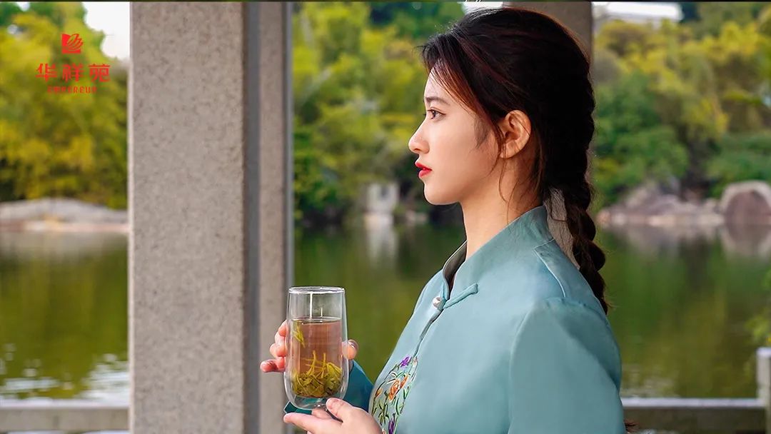 绿茶茶器 绿茶茶器