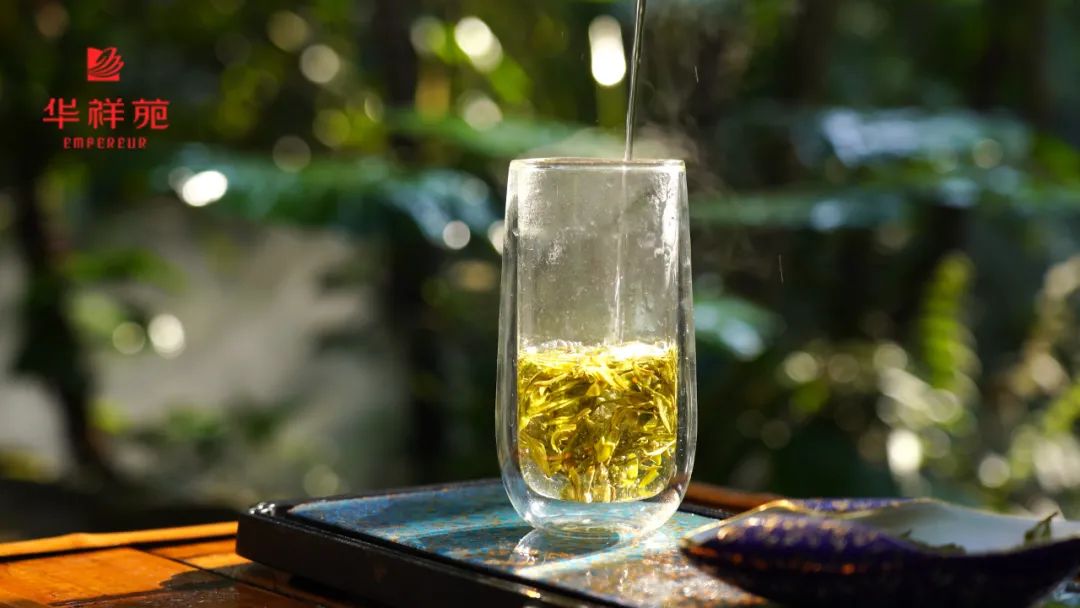 绿茶茶器 绿茶茶器