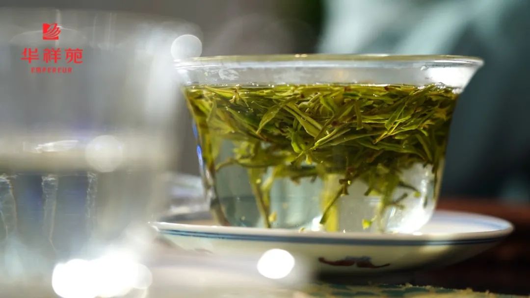 绿茶茶器 绿茶茶器