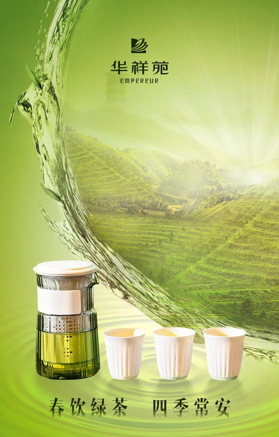 绿茶茶器 绿茶茶器