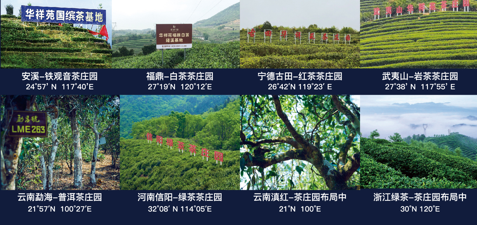 八大茶庄园