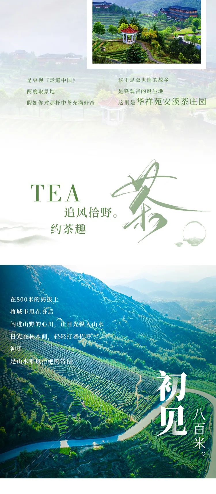庄园茶加盟