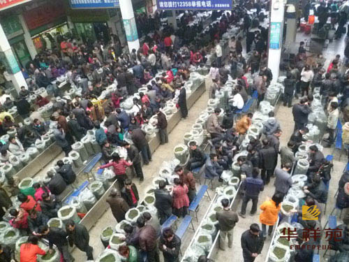 茶叶批发市场